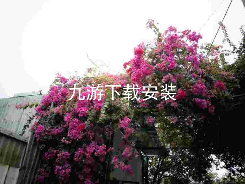 九游下载安装